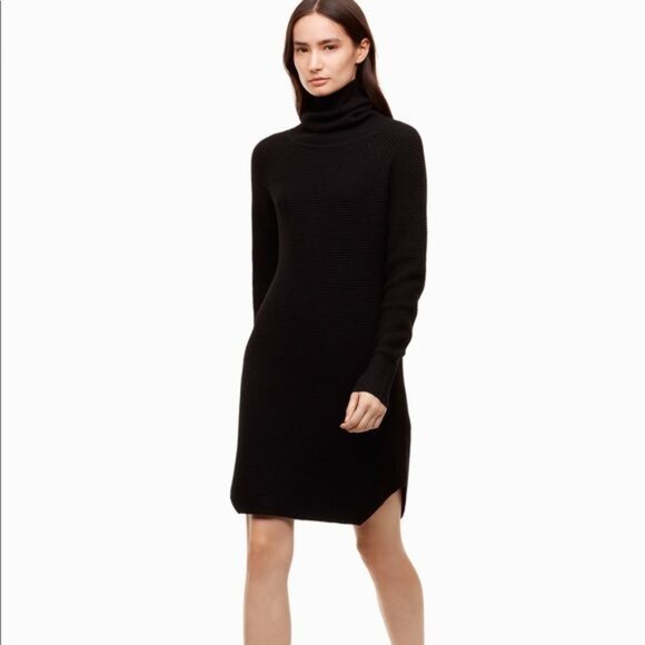 NWT Aritzia Wilfred Free Bianca Sweater Dress - Picture 3 of 7